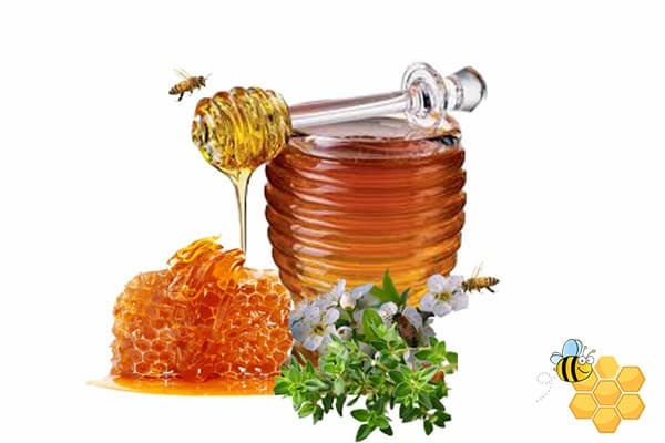 تصویر 1 از قیمت خرید عسل آویشن اصل + فروش عمده